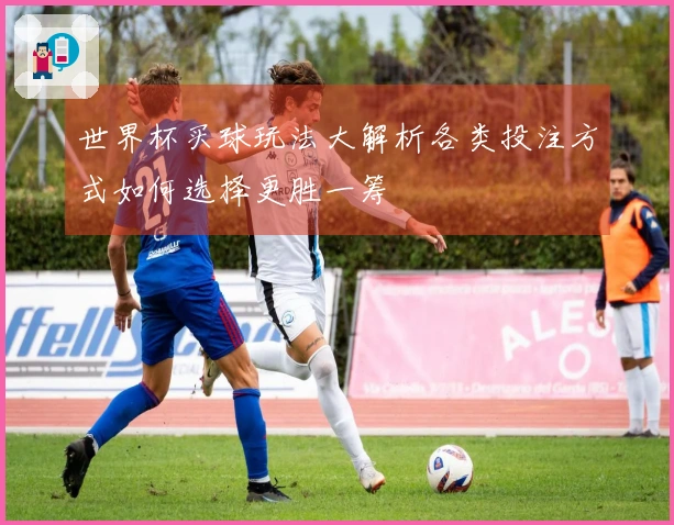 世界杯买球玩法大解析各类投注方式如何选择更胜一筹